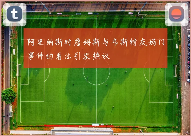 阿里纳斯对詹姆斯与韦斯特友妈门事件的看法引发热议