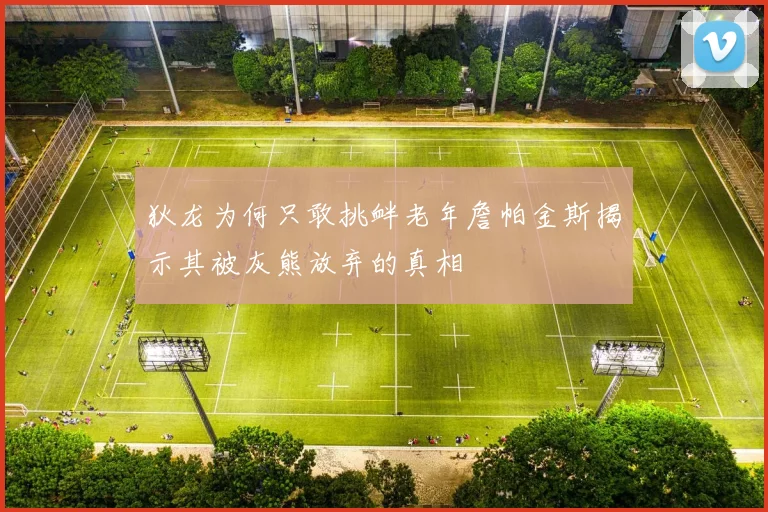 狄龙为何只敢挑衅老年詹帕金斯揭示其被灰熊放弃的真相