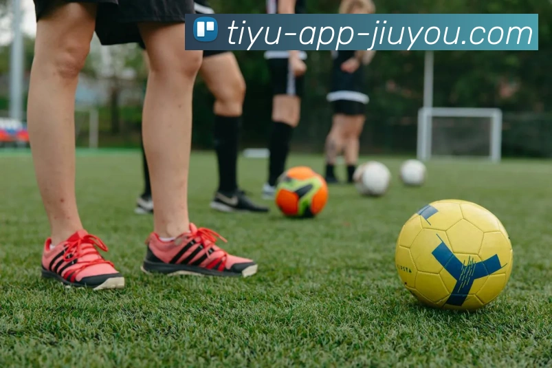 App Interface Preview